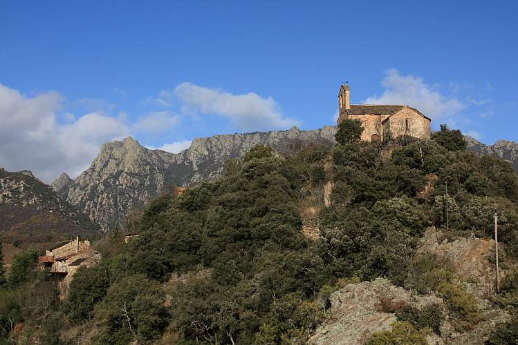 St Roch