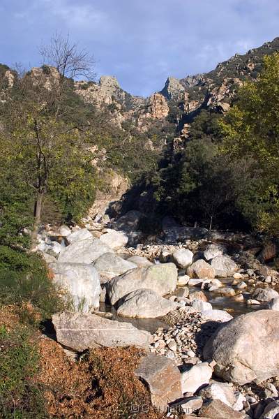 CRW_8406