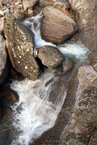 CRW_8420