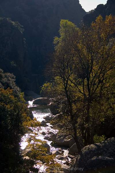 CRW_8428