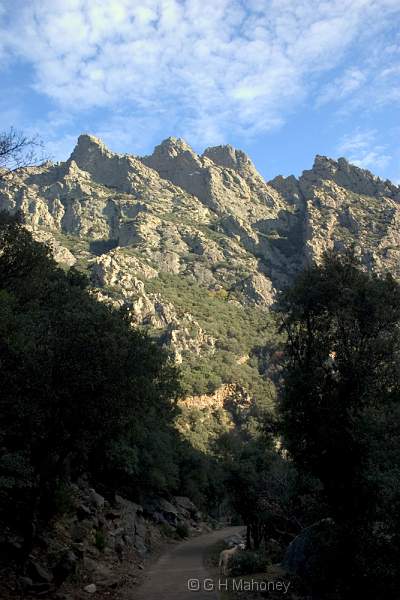 CRW_8440