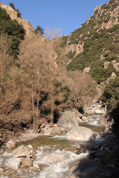 crw_10820