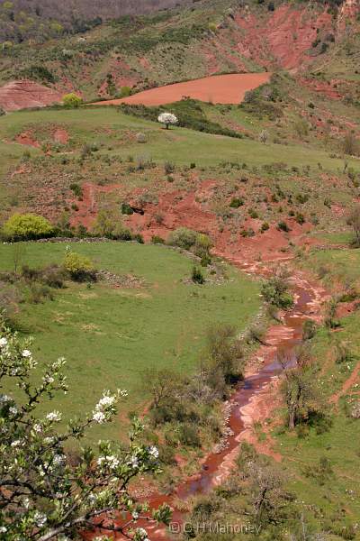 IMG_8794