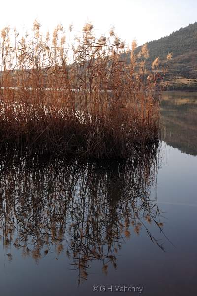 crw_10739