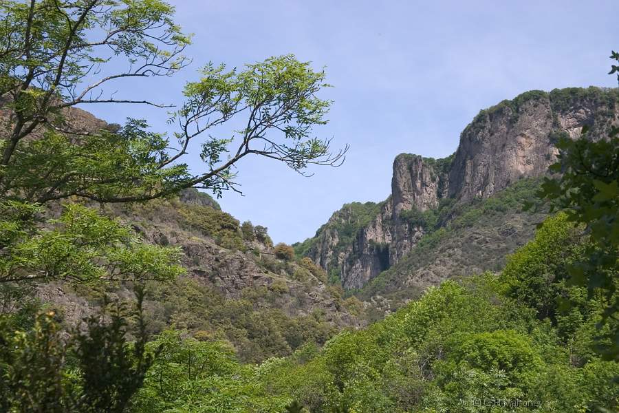 CRW_5007