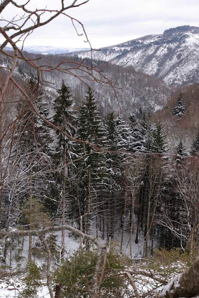 crw_10768