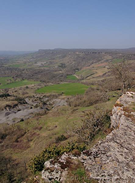 crw_11005