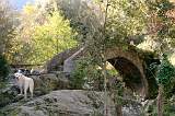  An old pack horse bridge near to Malvies