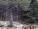  Blizzard in May near the Col de Portaret
