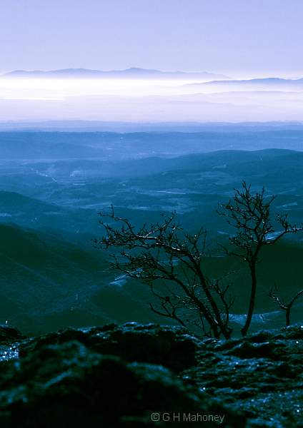 IMG_4265-(Cyanotype-Sepia-SilverGel)